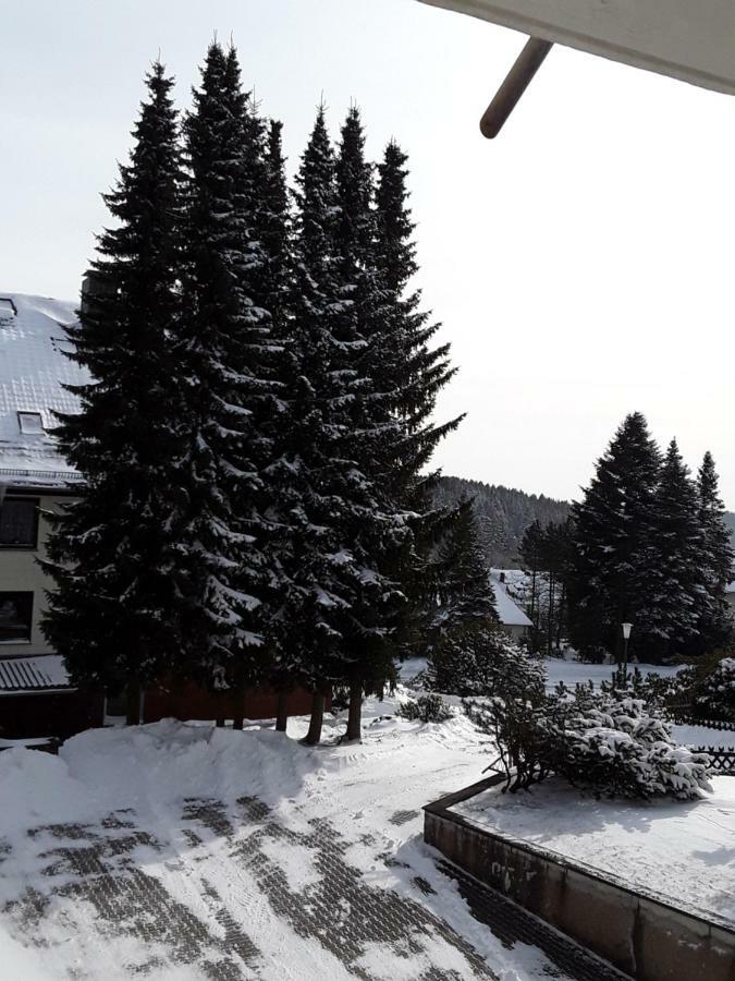 Fewo Haude Braunlage Exterior foto